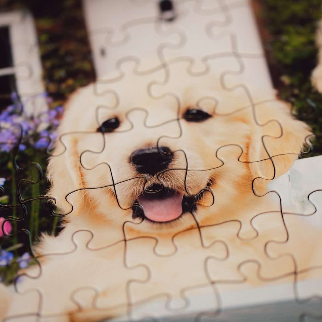 200-teiliges Puzzle - Golden Retriever