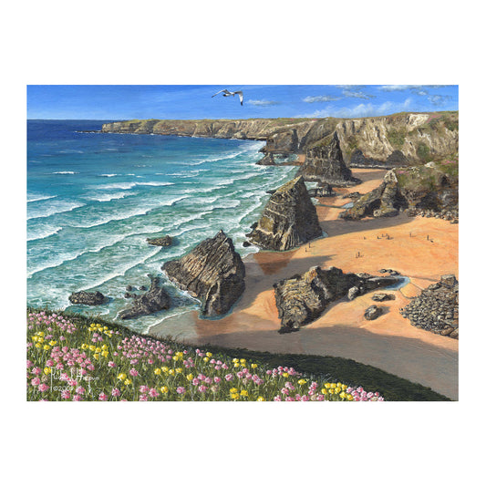 Puzzle 63 Stück-Wild Coast