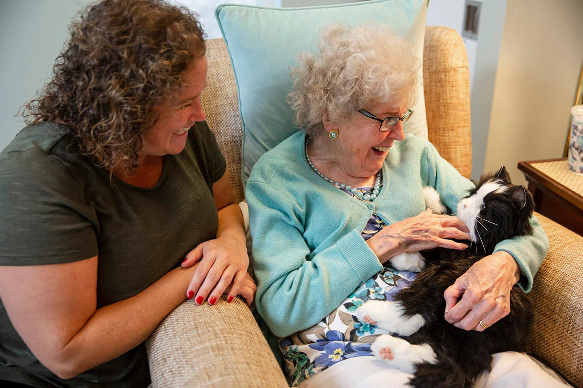 Peluche Chat Interactif pour personne âgée