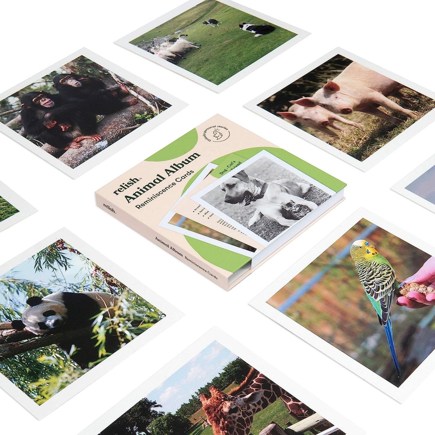 Souvenir karten-Tiere (Englisch)