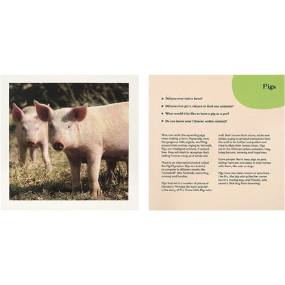 Souvenir karten-Tiere (Englisch)