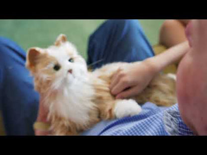 Peluche Chat Interactif pour personne âgée - Orange